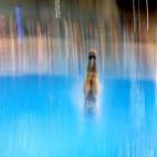 5c8ac6f92500000d04c9a088