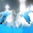 5c8ac6fa2300003000e726d1