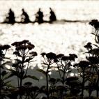 5c8ac6fb2300005400e726d3