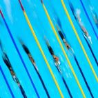 5c8ac6fc24000093024c6f6a