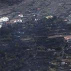 Zona abrasada por el fuego