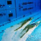 5c8ac70c250000bd0581ba63