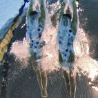 5c8ac70e360000c81a6c0d2d