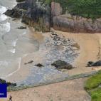 En varias playas se ha prohibido el baño debido al vertido de fuel registrado en la ría de Aboño procedente de una central térmica que está afectando al litoral del municipio de Carreño.