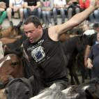 Un hombre intenta hacerse con el control de un caballo.