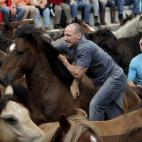 Un hombre lucha con un caballo.