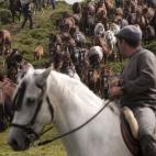 Los caballos son conducidos al 'curro'