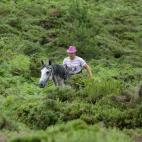 Un hombre cabalga en medio de la naturaleza.