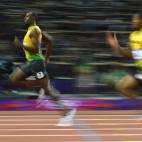 5c8a94092300003000e6bce5