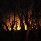 Imagen del Parque Nacional de Garajonay en La Gomera.