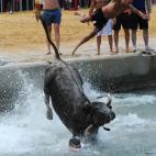La segunda semana de julio, Denia (Valencia) acoge la fiesta de Bous a la Mar. Lo más pintoresco de estas fiestas son las corridas, en las que los participantes tratan que las vaquillas caigan al agua.