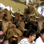 Dos mozos pasan un momento de apuro durante el primer encierro de El Pilón que se celebra en la localidad navarra de Falces, unas de las citas taurinas más singulares de esta comunidad. Declarada Fiesta de Interés Turístico de Navarra, duran...