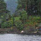 Breivik asesinó a 67 jóvenes del partido laborista en esta isla noruega. Cuando las fuerzas de seguridad llegaron, los cadáveres estaban desperdigados entre los matorrales.