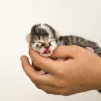 5c8ac776360000c81a6c0e10