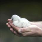 5c8ac77724000093024c7068