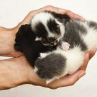 5c8ac7792500000a0681bb5a