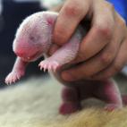 5c8ac779250000bd0581bb5c