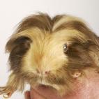 5c8ac77a20000043046fbb53