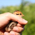 5c8ac77b2400000a05a3ac11