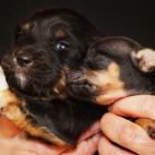 5c8ac77b2500001304c9a19c