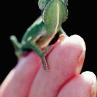 5c8ac77b360000ba1a6c0e1c