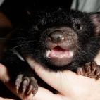 5c8ac77d2300005300e727ed