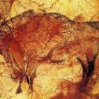 5c8a3fef360000c81a6b3a71