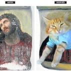 5c8a3ff3260000ea04fe1a14