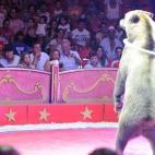 5c8b65562000009d0370a773