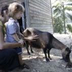 En el parque de animales de Castell, en la Cataluña francesa.