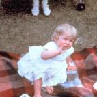 5c8a8707360000a61b6b94f7