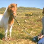 5c8a87082500000d04c92627