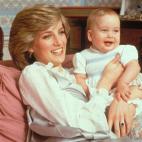 5c8a8711360000c81a6b950b