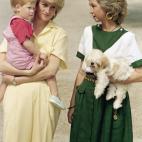 5c8a8715230000d50423358c