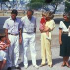 5c8a8715360000c81a6b9515