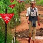 5c8a871b2500000704c9265c