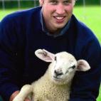 Hace unos días se dejaba fotografiar con rinocerontes para promover su defensa. Aquí, con un cordero en una granja de Gloucester, en 2004.