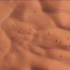 Foto de flickr.com/jgreenberg