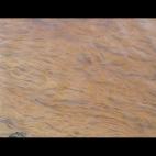 Foto de flickr.com/bonus1up