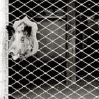 (Foto: Txema Rodríguez)