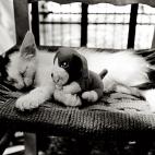 (Foto: Txema Rodríguez)