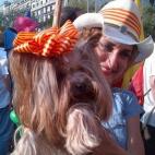 5c8acb6a2400004205a3b36b