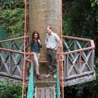 5c8b3a313b000002076d441f