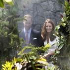 5c8b3a34240000f404a4649c