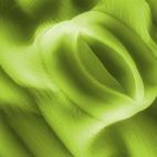 Hoja de la patata FEI