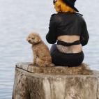 5c8aca41230000d50423b688