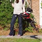 5c8af3262300003000e76d65