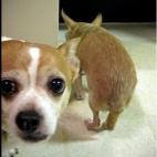 5c8af3262400006c05a3f13c