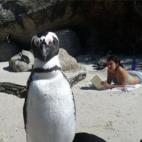 5c8af32722000031001a2195