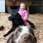 5c8af32822000051001a2197